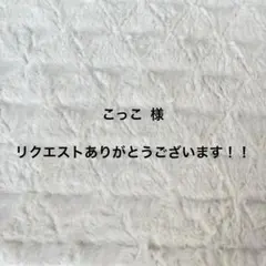 こっこ様 リクエスト 3点 まとめ商品