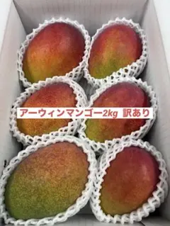 46. マンゴー 4kg 家庭用 傷黒点あり - メルカリ