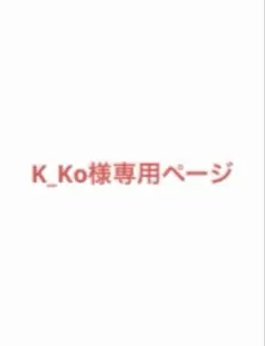 専用ページ