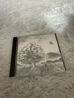 BNMP OF CHICKEN/ユグドラシルのCD