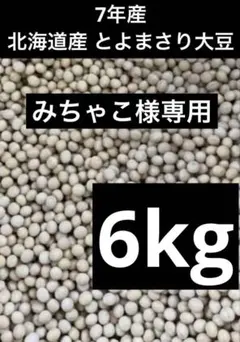 みちゃこ様専用