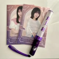 Item thumbnail for item dd316e7a-8dce-4365-abe2-8b5ca1eae654