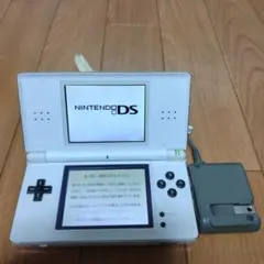 た*も様 Nintendo DS Lite 本体 ホワイト 充電器付き
