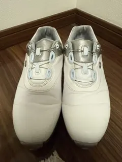 フットジョイ シューズ