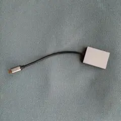 USB-C LAN 有線LANアダプター 2in1イーサネットアダプタ