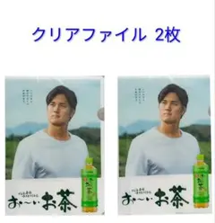 Item thumbnail for item 17a7fd3f-0703-45ca-aae4-cd78681a3c5f