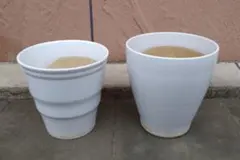 陶器鉢(6号) 2点セット