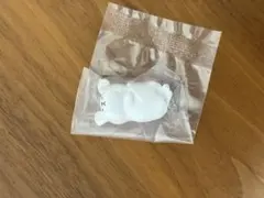 怒ったわんちゃあぁぁん2　マルチーズ