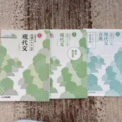 現代文 問題集・解説書 セット