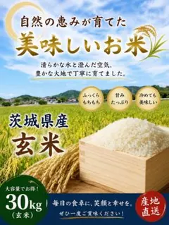 2026年最新】米 30kgの人気アイテム - メルカリ