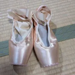 Bloch Heritage トゥシューズ X5