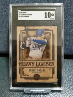 Item thumbnail for item 0100df8d-6877-4d10-ab8d-76f1d6132adf