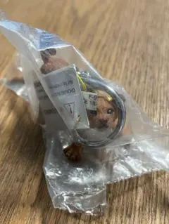 PAPO パポ　ライオンの子供（吠）新品未開封