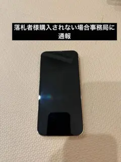 ヒ*リ様 iPhone 13 Pro