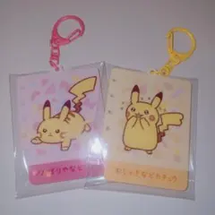 十ポケ十色 アクリルキーホルダーコレクション がんばりや むじゃきなピカチュウ
