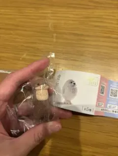 Item thumbnail for item f1aaeecc-0dd0-4414-8b6f-4e5b276777dc