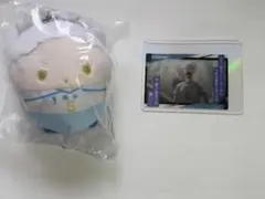 ハイキュー　星海光来