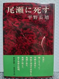 Item thumbnail for item 382037e5-01d6-43bd-95ab-5f7aca98de8d