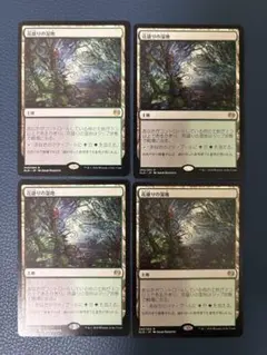MTG 花盛りの湿地 4枚セット 日本語版のサムネイル