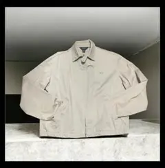 Item thumbnail for item 9c9d2b85-d2d1-4535-8174-1d7fa1358944