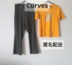 匿名配送★カーブス Curves パンツ 淡いブラウン M おまけTシャツ