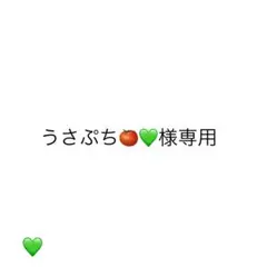 うさぷち様専用ページ