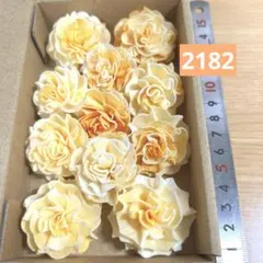 ソラフラワー　2182