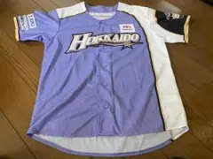 日本ハムファイターズ　2015年　WE LOVE HOKKAIDO フリー