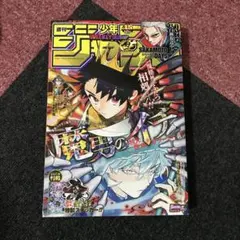 週刊少年ジャンプ2025 15号
