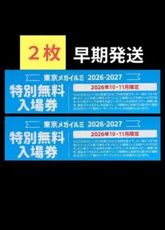 東京メガイルミ 大井競馬場 イルミネーション チケット割引クーポン入場券 ２枚