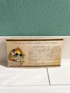 希少❣️新品❣️希少❣️ディズニー アウラニ ピンバッジ