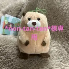 *non-tan-tan*様 リクエスト 2点 まとめ商品