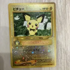 ポケモンカード ピチュー LV.4 旧裏面 No.172 プレミアムファイル2