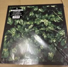 エレファントカシマシ ココロに花を アナログ - メルカリ