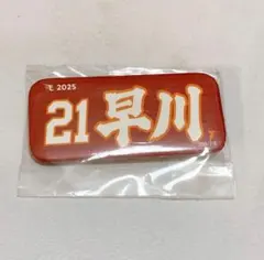 楽天イーグルス 記念グッズ