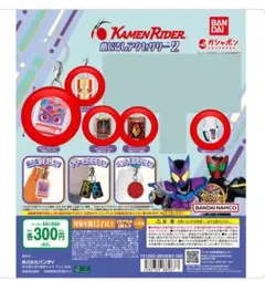 仮面ライダー めじるしアクセサリー 2 5点セット