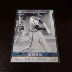 2025年最新】カルビープロ野球カード 南海ホークスの人気