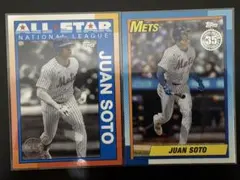 【単品購入不可】JUAN SOTO （ファンソト選手）