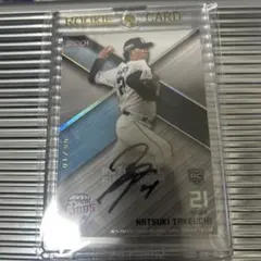 Item thumbnail for item 1bf8d093-b404-4afd-930b-72fabbba9864