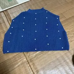 今季⭐️流行ミニベスト美品ザライネド23区プラステ