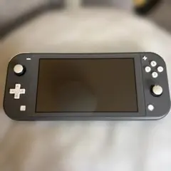 Nintendo Switch Lite 本体 グレーのサムネイル