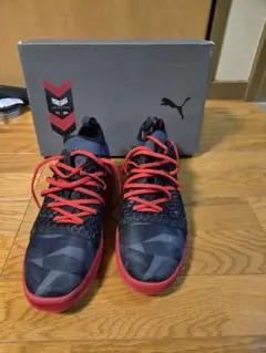 Item thumbnail for item 2e6efedd-97c5-44ce-9828-f606971b1d25