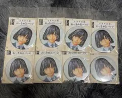 ヒカルの碁(原作) おっきめ缶バッジ 進藤ヒカル 塔矢アキラ 藤原佐為