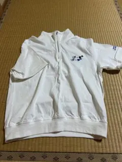 Item thumbnail for item d16177e7-414a-4554-8805-15919c7e20e9