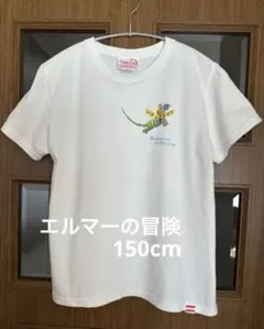 Item thumbnail for item cc66eee8-a3a4-475e-8fc8-cf9dd67b5111