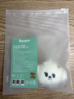 TXT プルバトゥPPULBATU バムグッFACE KEYRING