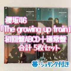 ジイクン様 リクエスト 2点 まとめ商品