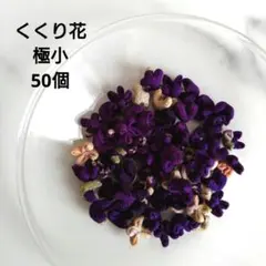 Item thumbnail for item c69b2792-3b0f-457a-8874-ac9c6dcbb8bc