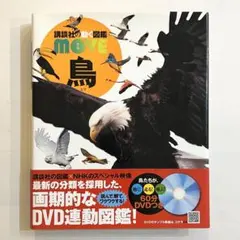 Item thumbnail for item c6eab5e1-bbcc-4050-a919-0aa70e95b8ff