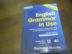 english grammar in use 書込みなし